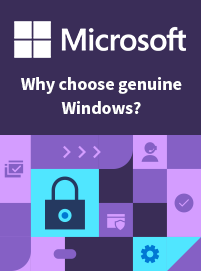 Windows 11 Windows 11